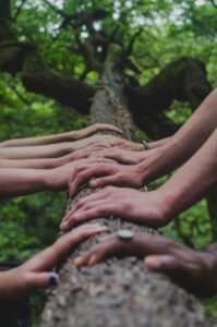 Menschen legen ihre Hände auf einen Baumstamm