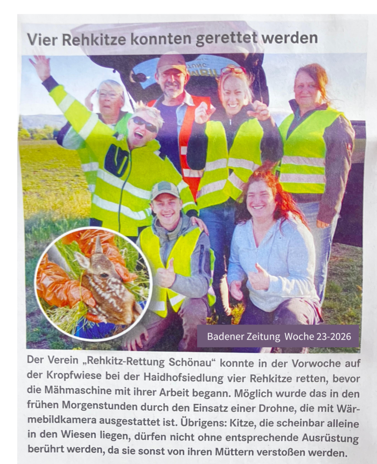 Badener Zeitung - Zeitungsbericht Woche 23 - 2026